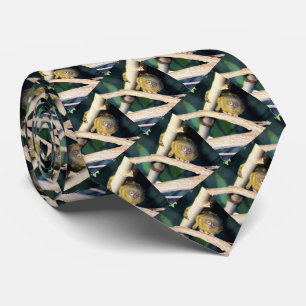 Hugger de pygmée marmoset, Cravate