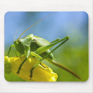 HUGO MOUSE PAD