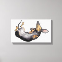 Hugo the dachshund sleeping canvas wall art