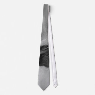 Hugo's Collection Tie