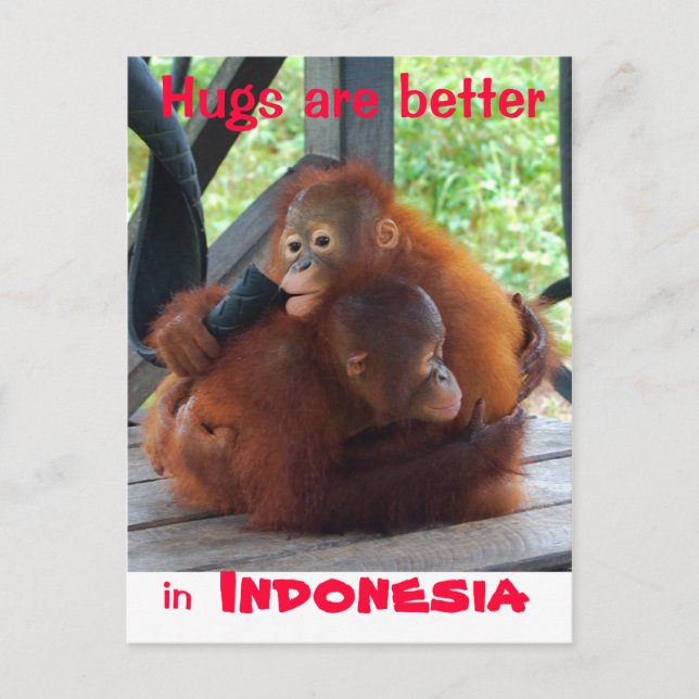 Hugs are Better in Indonesia Postcard (Front)
