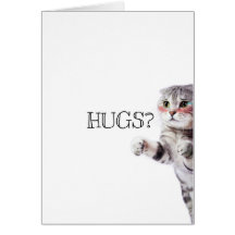 HUGS ? Kitten