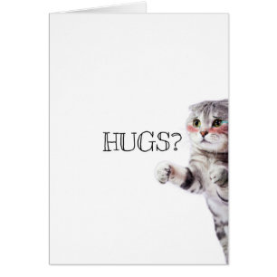 HUGS? Kitten