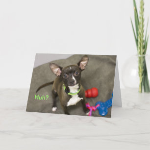Huh? Chihuahua Birthday Card