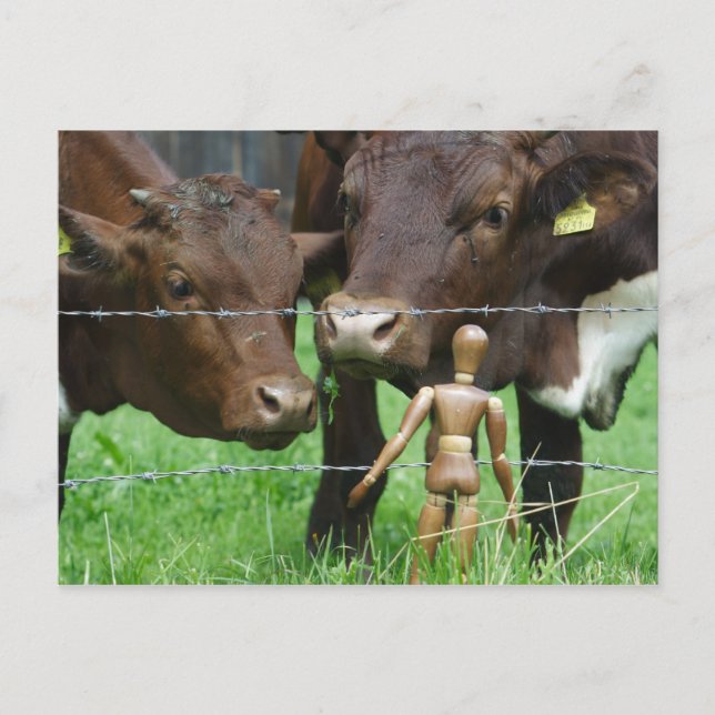 Huh ? postcard (Front)