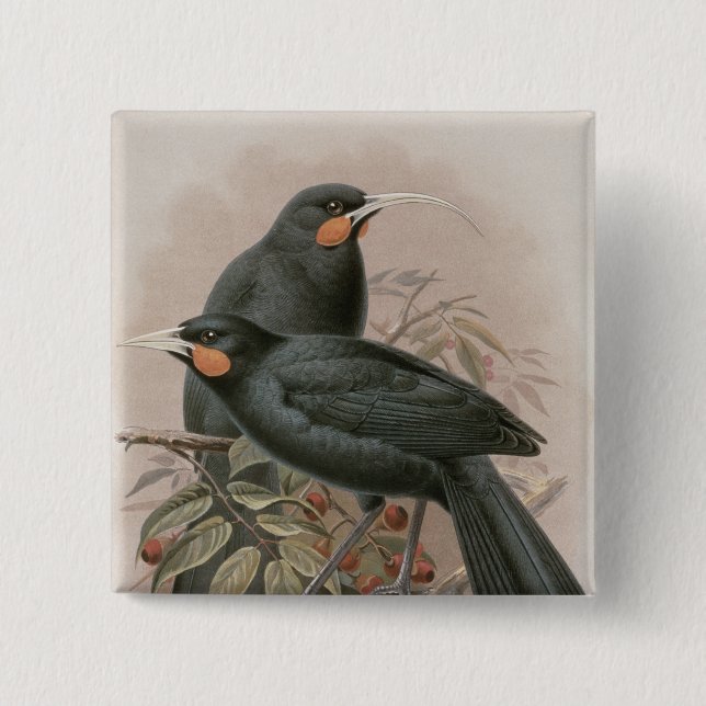 Huia 2 Inch Square Button (Front)