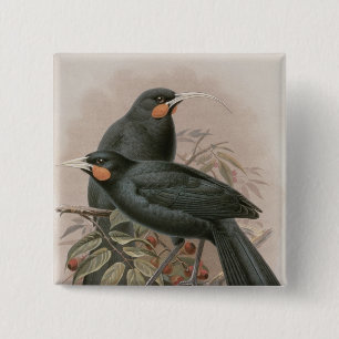 Huia 2 Inch Square Button