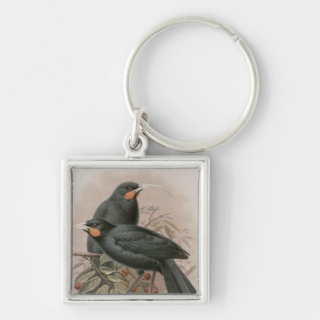 Huia Keychain (Front)