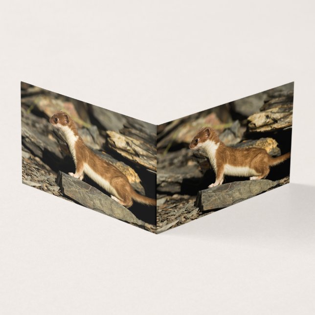 Huile de chasse (Outside)