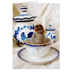 Huile Paint Effet Chick et Tea Cup en Studio