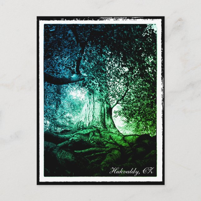 Hukvaldy - Beech Tree, Morava, Czechia Postcard (Front)