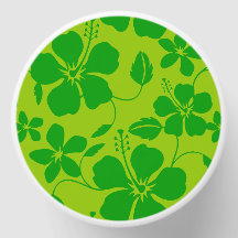 HULA HAWAIEN (HIBISCUS) EN CITRON VERT