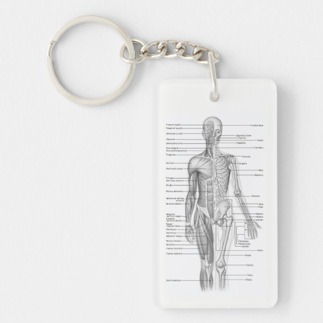 Human Anatomy AP101 Educational Diagram Keychain (Front)