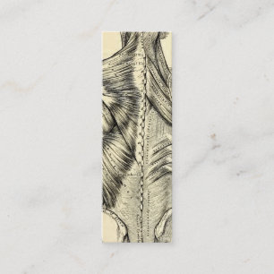 Human Anatomy Art Back Muscles (circa 1890) Mini Business Card