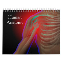 Human Anatomy