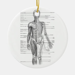Human Anatomy Chart Ceramic Ornament