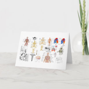 Human Anatomy Charts Card