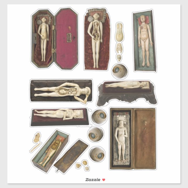 human anatomy dolls body parts collage sheet (Sheet)