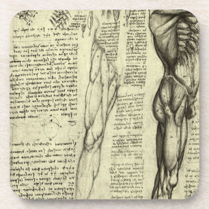 Human Anatomy Male Muscles by Leonardo da Vinci Coaster