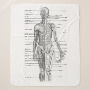 Human Anatomy Medical Chart Sherpa Blanket