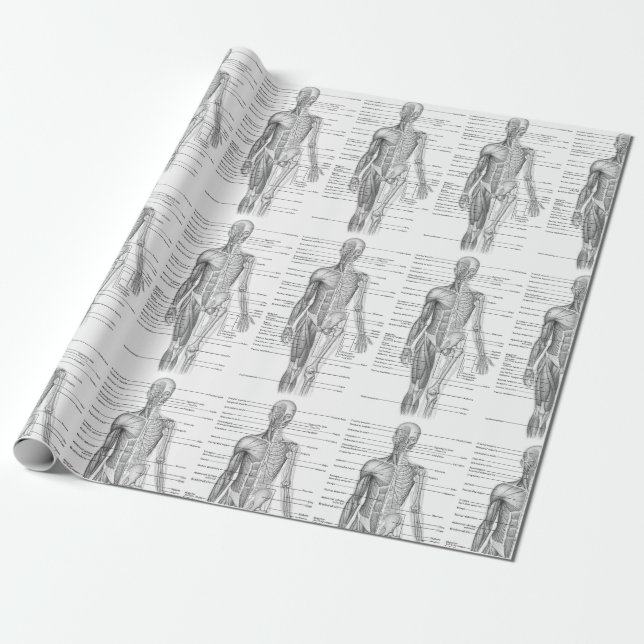 Human Anatomy Medical Chart Wrapping Paper (Unrolled)