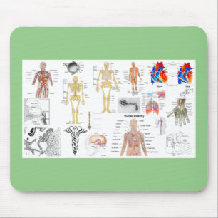 Human Anatomy Medical Charts Mouse Pad