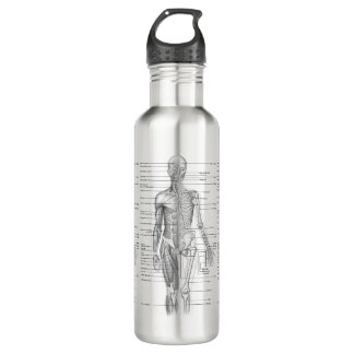 Human Anatomy Medical Diagram 710 Ml Water Bottle