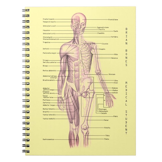 Human Anatomy Medical Diagram Personalized School Notebook (Front)