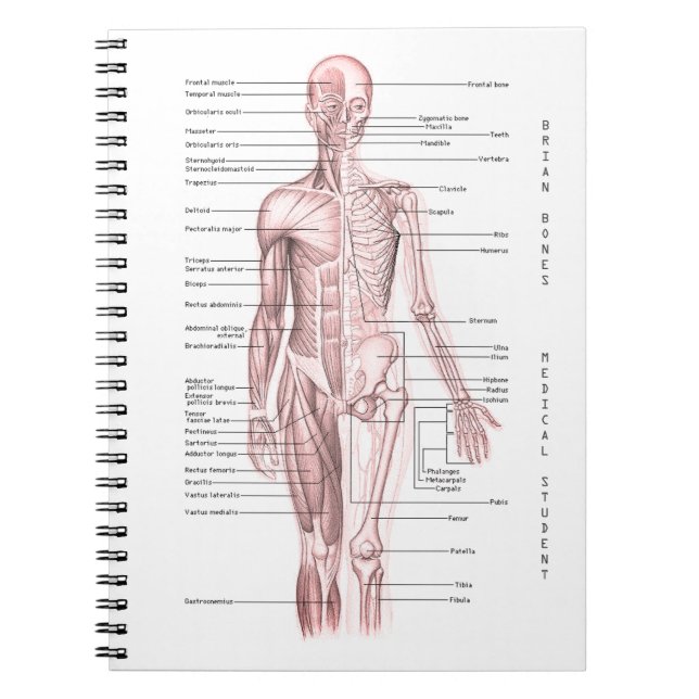 Human Anatomy Medical Diagram Personalized School Notebook (Front)