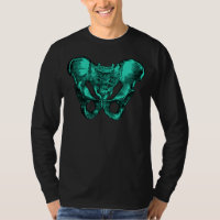 Human Anatomy Pelvis Bones
