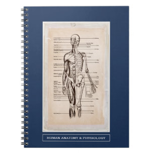Human Anatomy & Physiology Customized Notebook