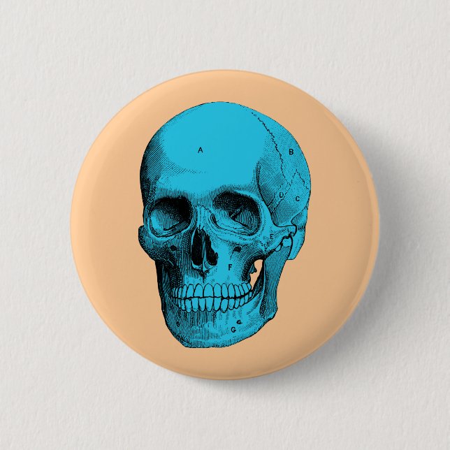 Human Anatomy Skull 2 Inch Round Button (Front)