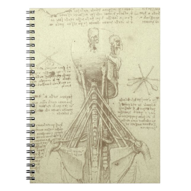 Human Anatomy Spinal Column by Leonardo da Vinci Notebook (Front)