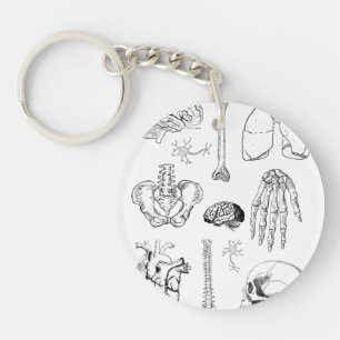 Human Anatomy Vintage Medical Illustration Set Keychain
