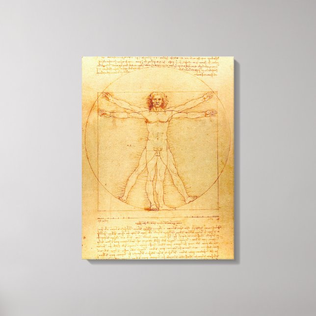 Human Anatomy, Vitruvian Man by Leonardo da Vinci Canvas Print (Front)