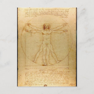 Human Anatomy, Vitruvian Man by Leonardo da Vinci Postcard