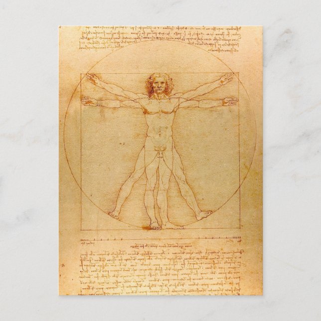 Human Anatomy, Vitruvian Man by Leonardo da Vinci Postcard (Front)