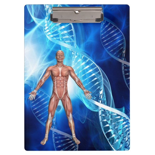 Human Anatomy with DNA Strands Clipboard (Front)