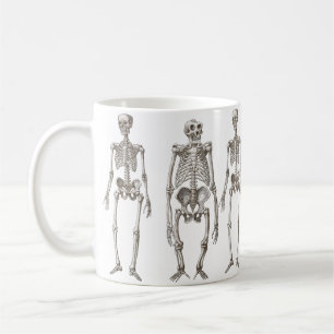 Human and Ape Skeletons Primate Missing Link Mug