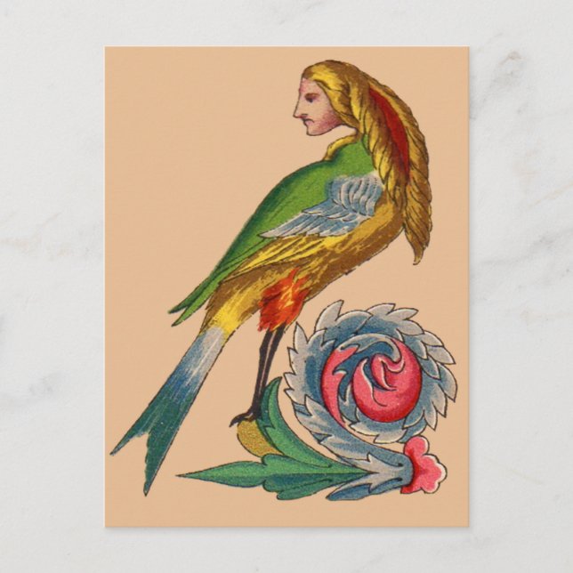 human bird postcard (Front)
