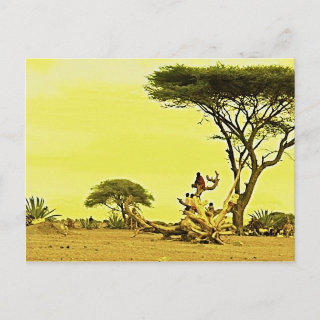 Human Birds Africa Postcard (Front)