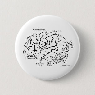 Human Brain 2 Inch Round Button