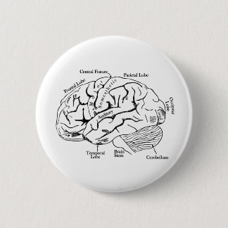Human Brain 2 Inch Round Button