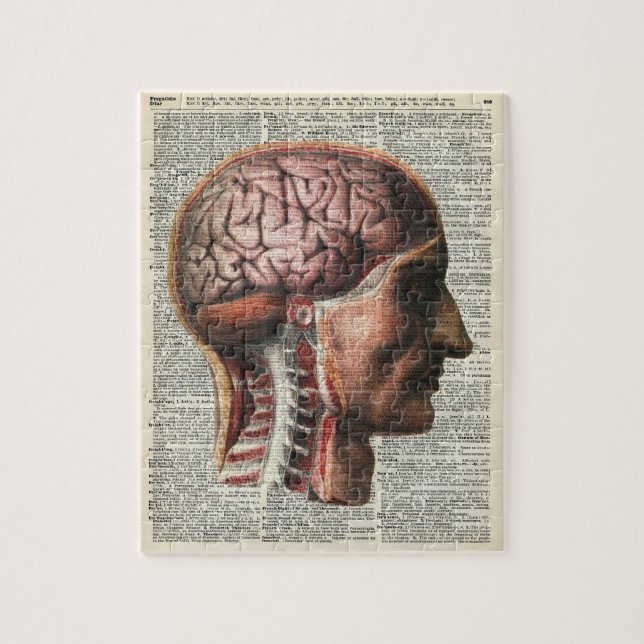 Human Brain Anatomy Jigsaw Puzzle (Vertical)