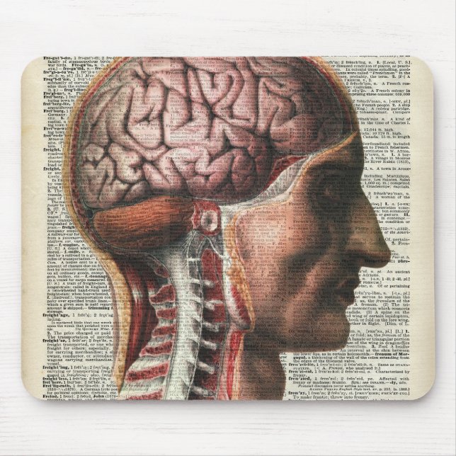 Human Brain Anatomy Mouse Pad (Front)