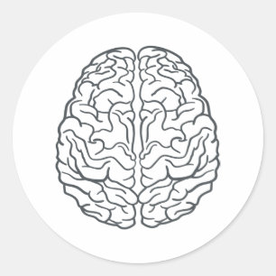 Human Brain Classic Round Sticker