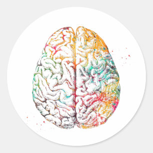 Human Brain Classic Round Sticker
