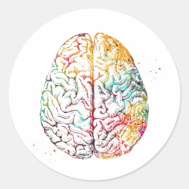 Human Brain Classic Round Sticker (Front)