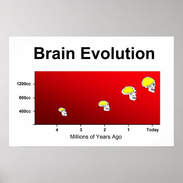 Human Brain Evolution Poster (Front)