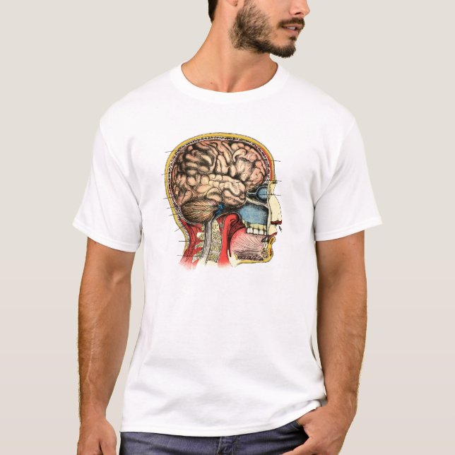 Human Brain Skull Cervical Spine T-Shirt (Front)
